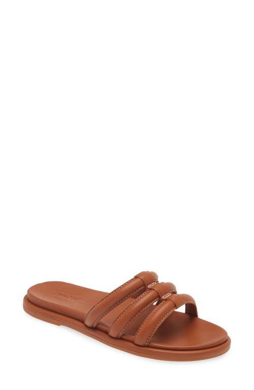 OluKai Tiare Slide Black) Women's Shoes Product Image