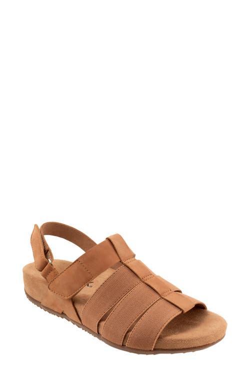 SoftWalk Burnaby (Navy Nubuck) Women's Sandals Product Image