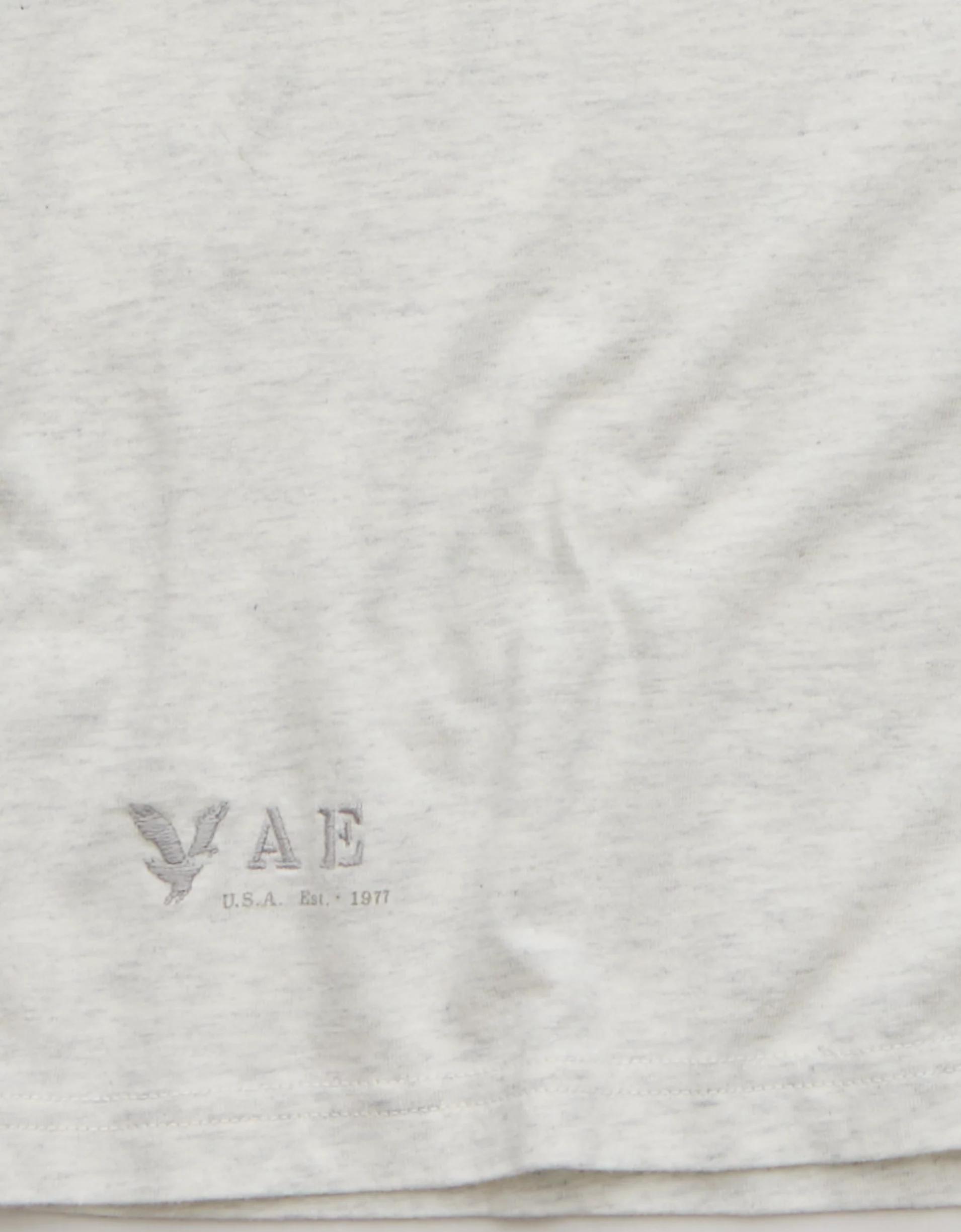 AE Boxy Micro Logo Graphic T-Shirt Product Image