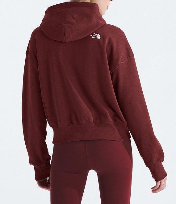 The North Face Evolution Full Zip Hoodie Product Image