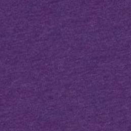 Central Arkansas Heathered Tyler T-Shirt Product Image