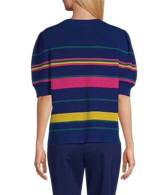 Investments Petite Size Bellwether Stripe Novelty Short Sleeve Crew Neck Sweater Top Product Image