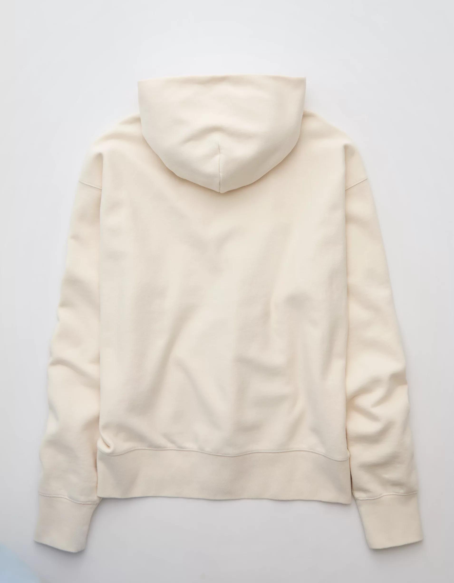 AE Laidback Luxe Heavyweight Hoodie Product Image
