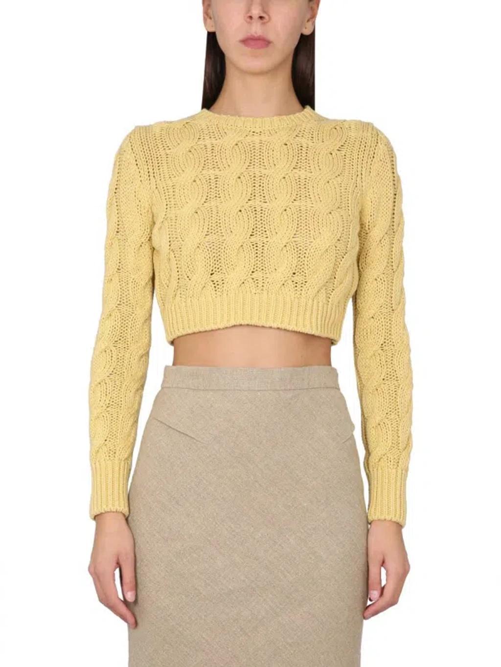 Sphinx Crewneck Sweater In Yellow Product Image