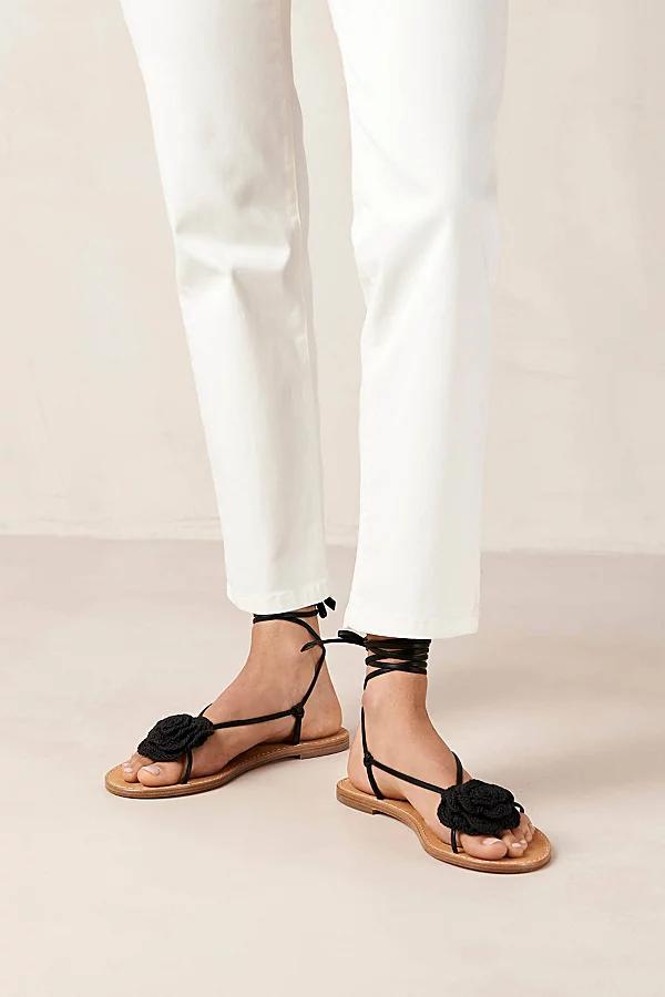 Alohas Womens Jakara Leather Sandals Product Image