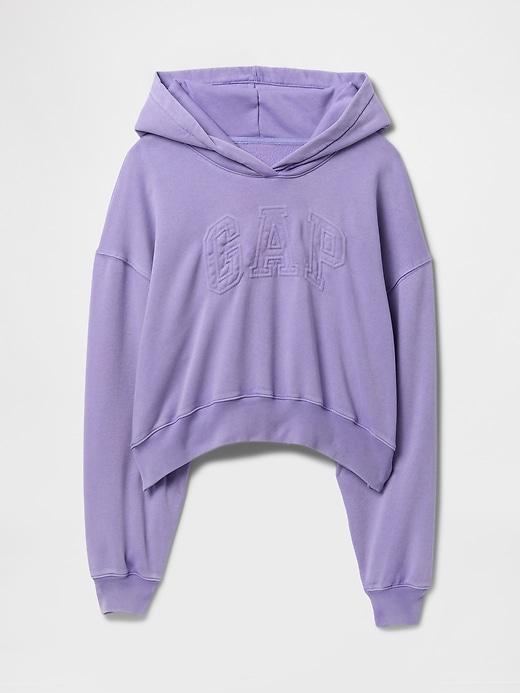 VintageSoft Crop Logo Hoodie Product Image