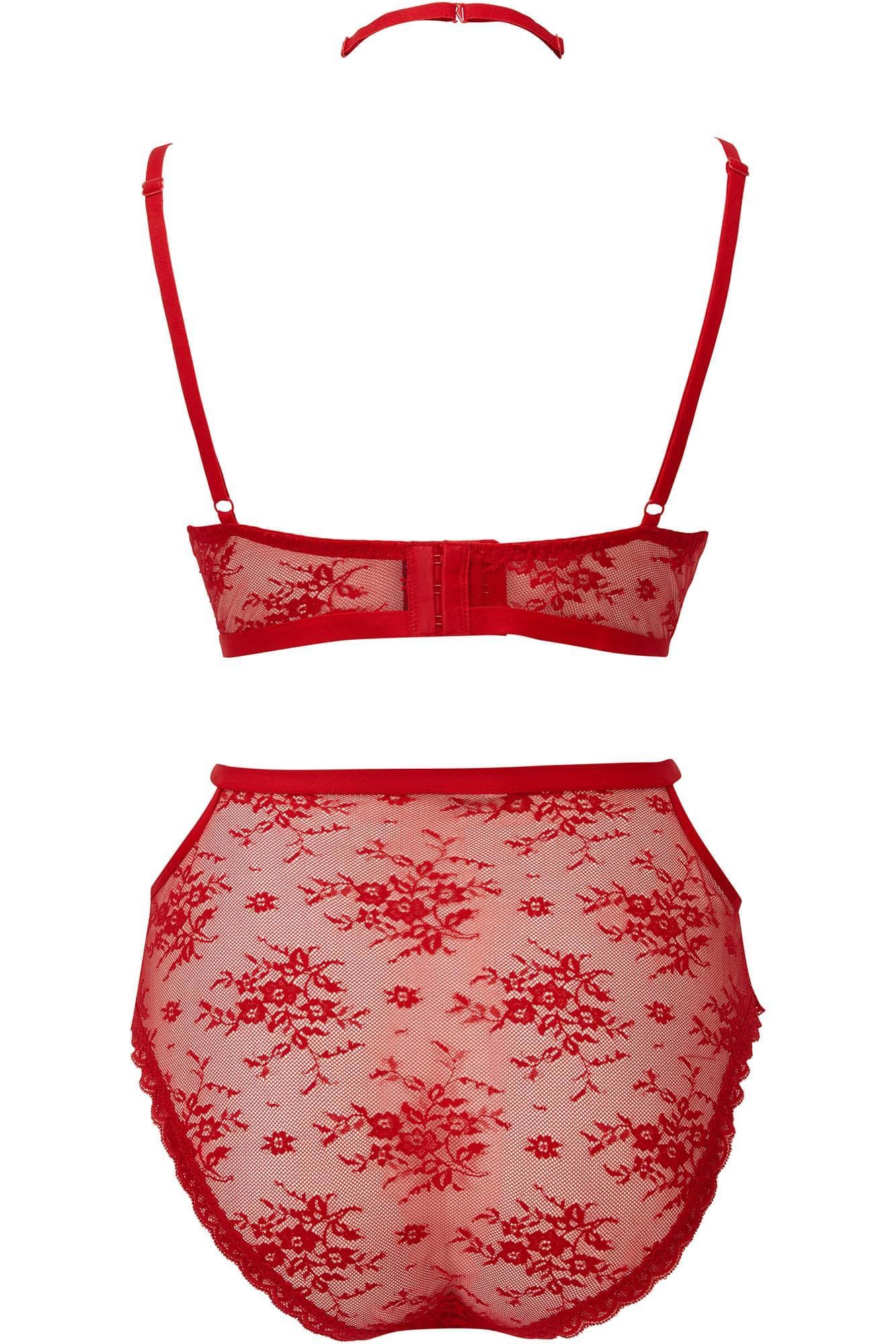 Sheer Evil Panty [SCARLET] Female Product Image