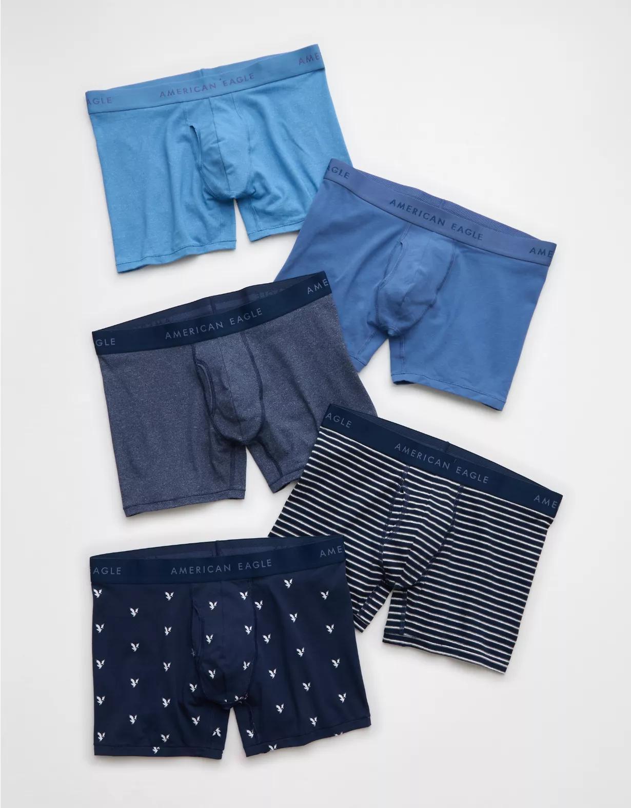 AEO Men's 4.5" Classic Boxer Brief 5-Pack Product Image