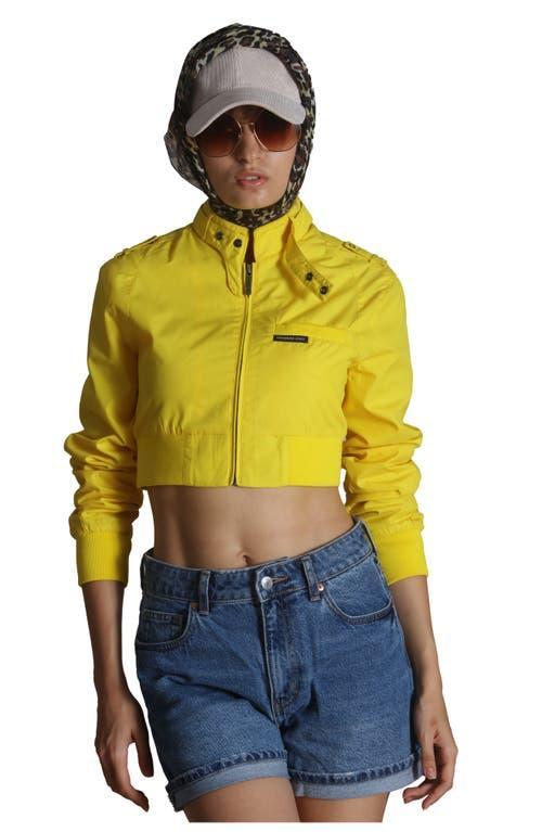Members Only Women's Mini Cropped Racer Jacket in Black at Nordstrom, Size X-Large Product Image
