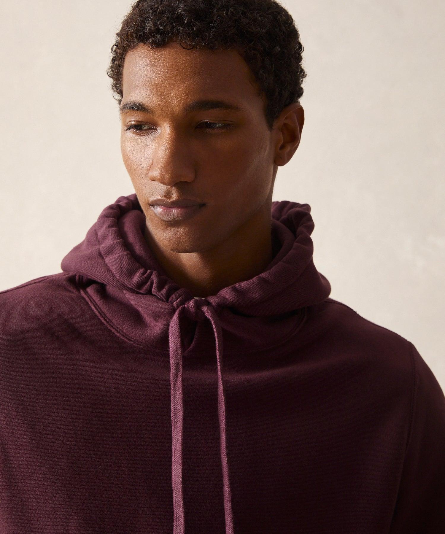Champion Midweight Popover Hoodie Sweatshirt in Blackberry Product Image