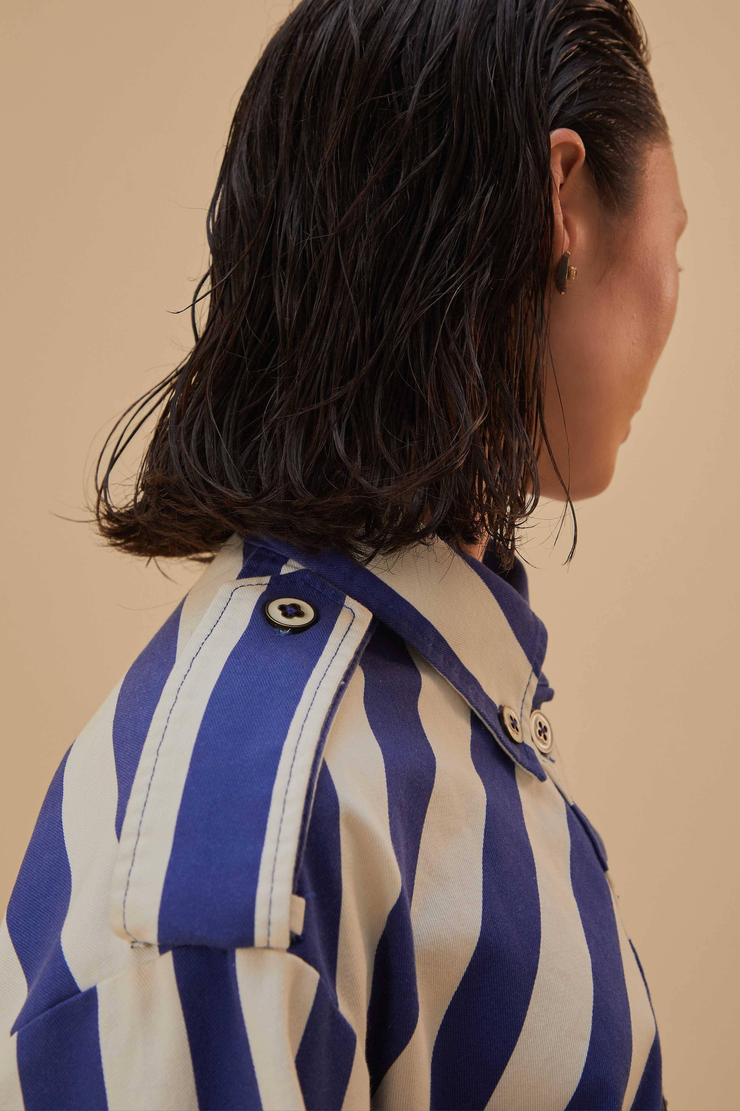 Blue Striped Long Sleeve Shirt Product Image