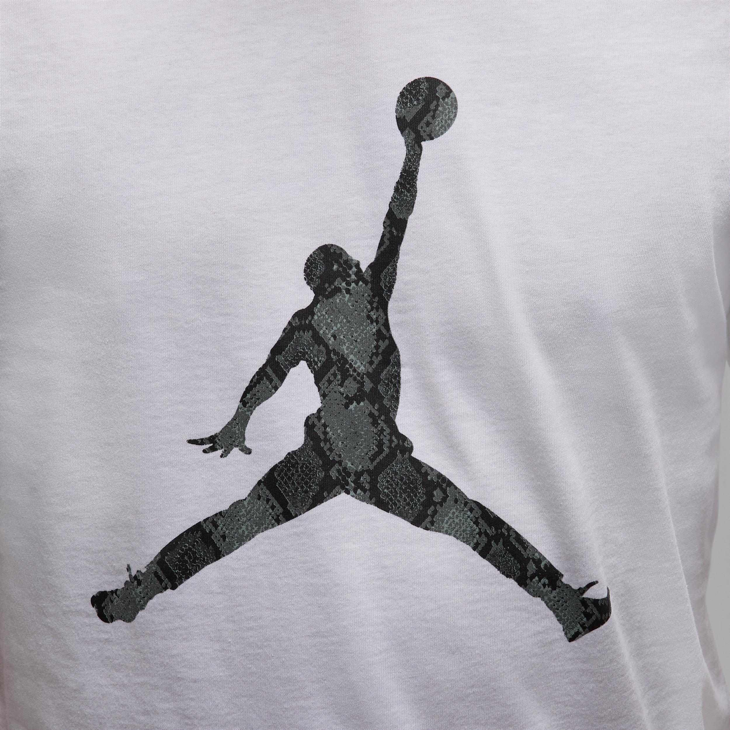 Men's Jordan Sport Dri-FIT T-Shirt Product Image