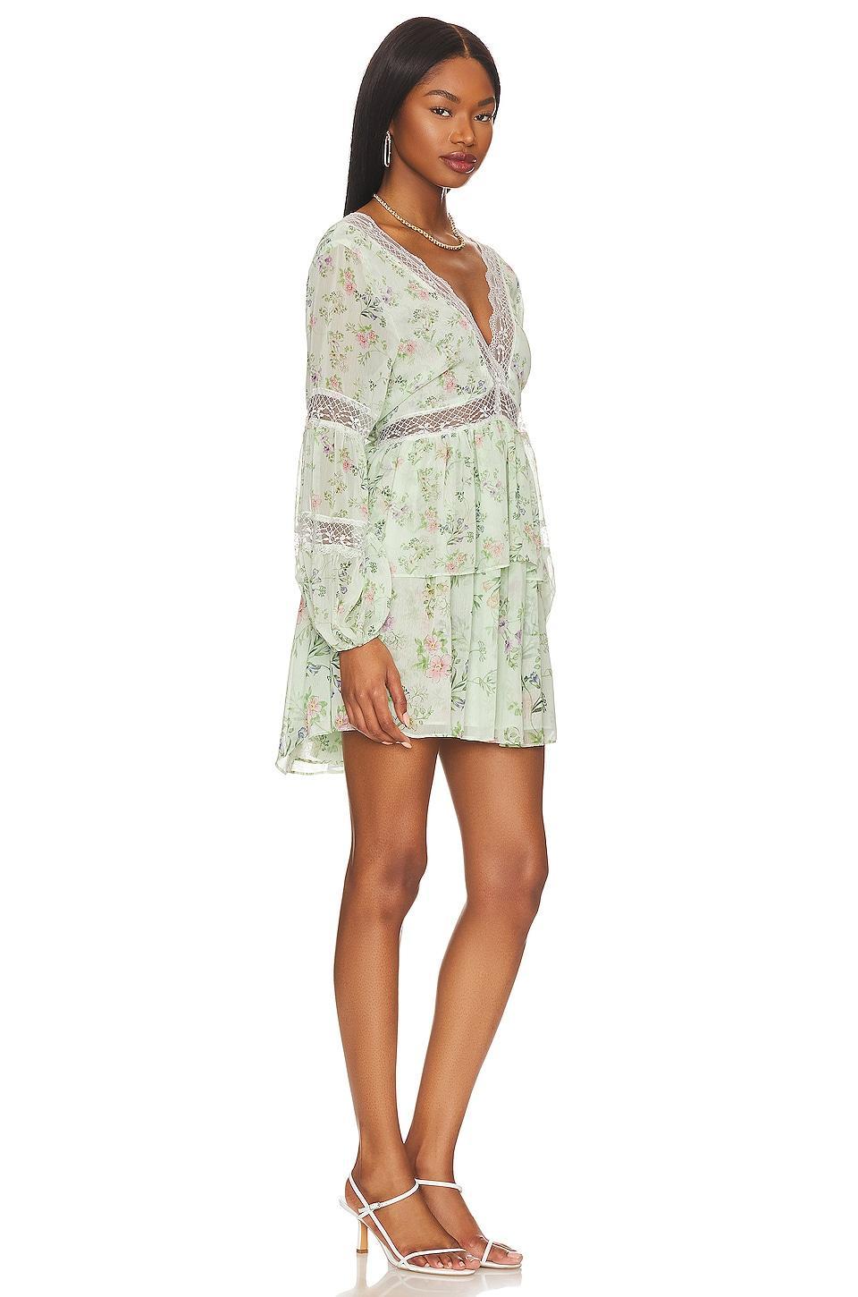 Sia Mini Dress MISA Los Angeles Product Image