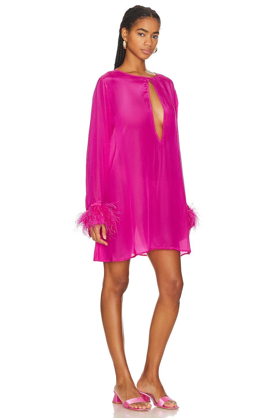 Eve Mini Dress Shani Shemer Product Image