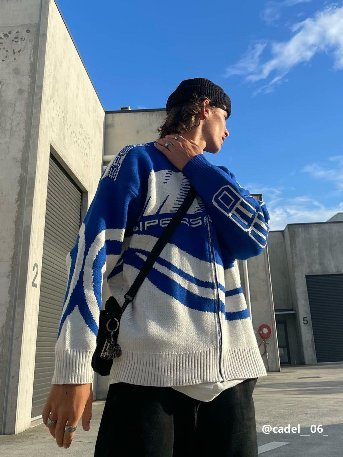 Aelfric Eden Color Block Racing Cardigan Product Image