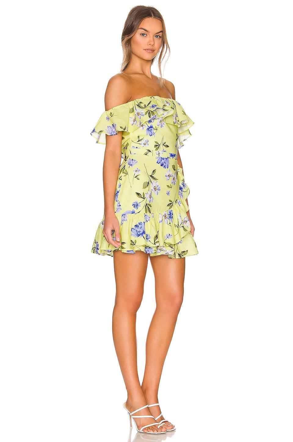 Santa Fe Dress Yumi Kim Product Image