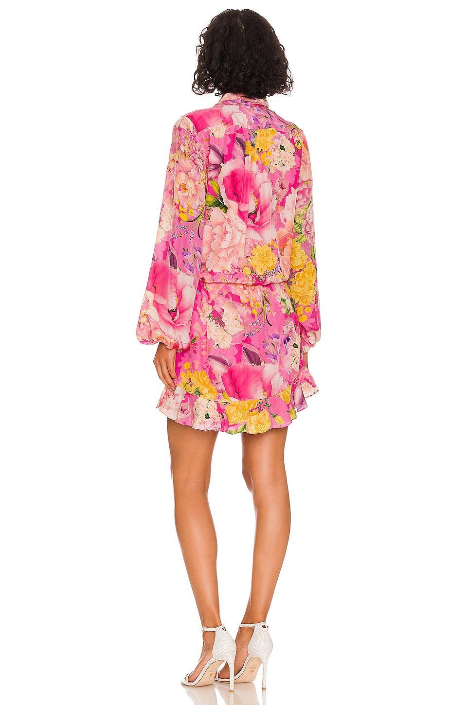 Leona Mini Dress Product Image