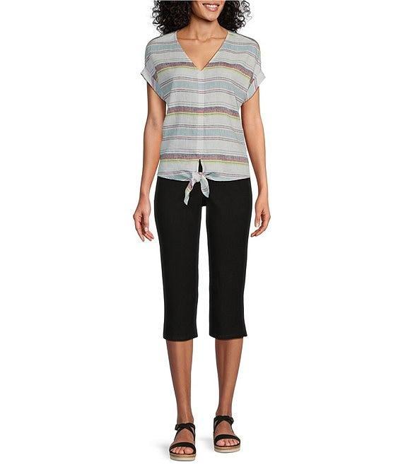 Westbound Meadow Stripe Short Sleeve V-Neck Tie Front Top Product Image