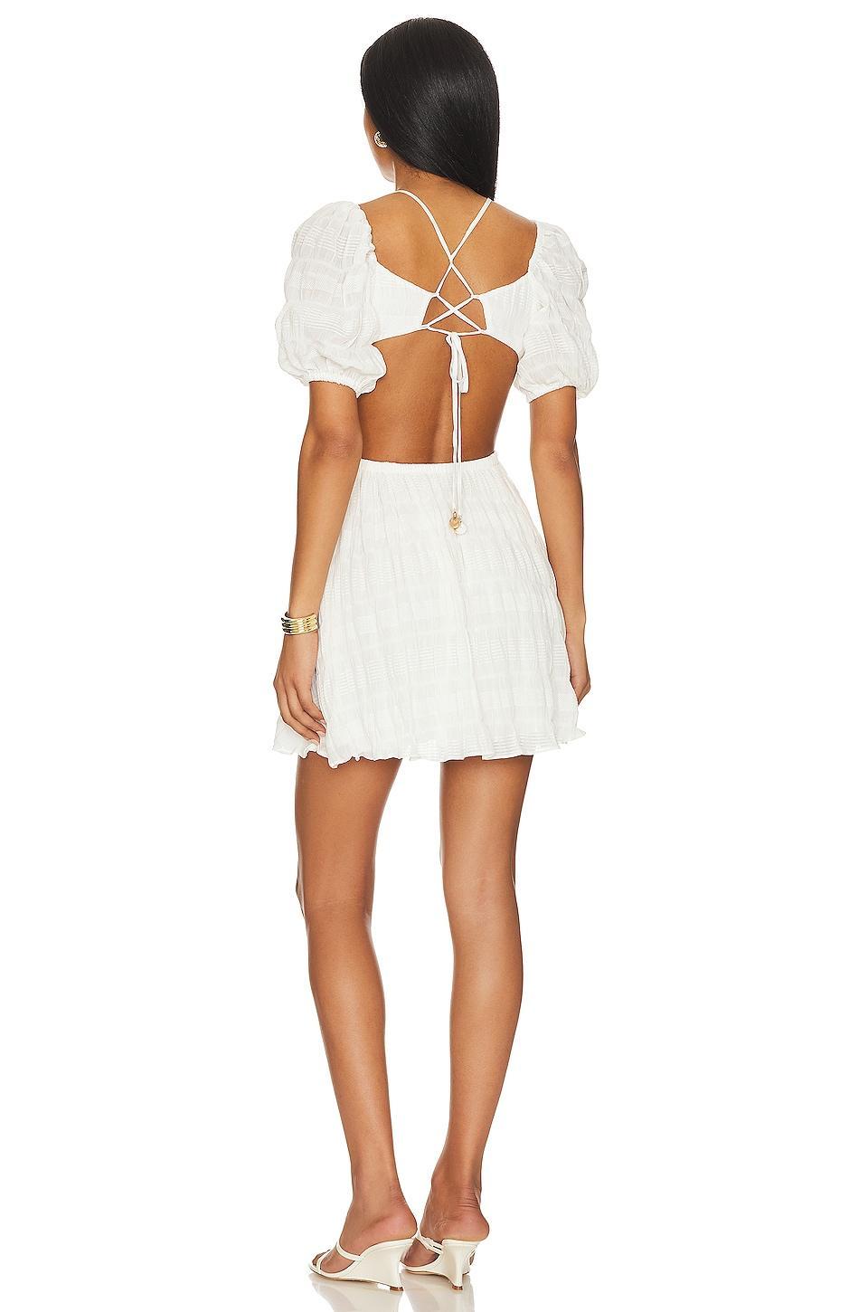 Benita Mini Dress Tularosa Product Image