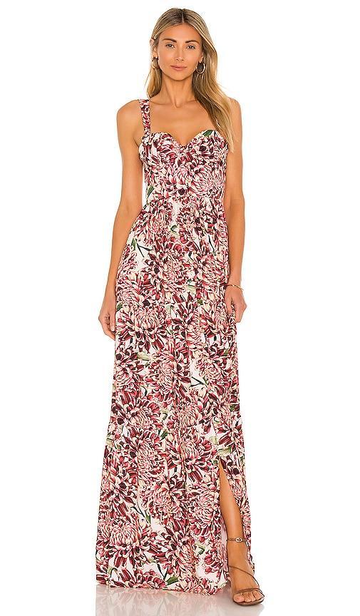 Dunna Dress Agua Bendita Product Image