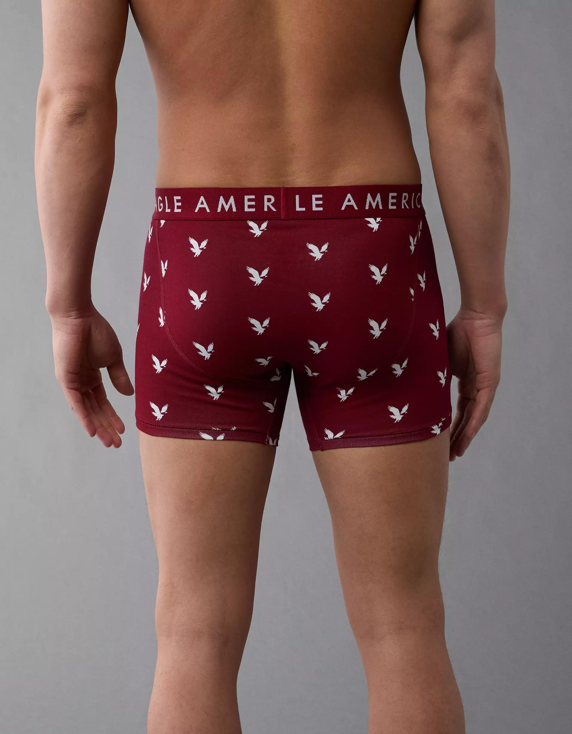 AEO Eagles 4.5" Classic Boxer Brief Product Image