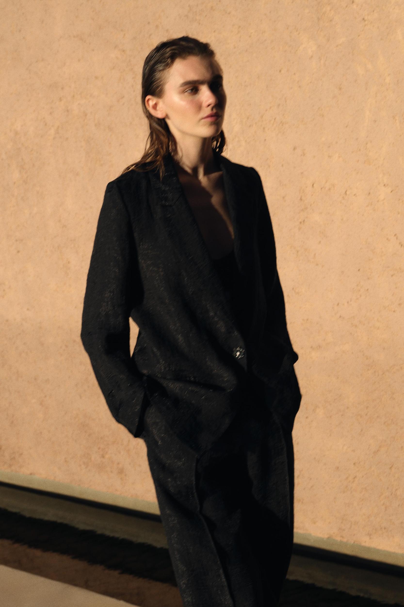 WRINKLED ORGANZA BLAZER Product Image