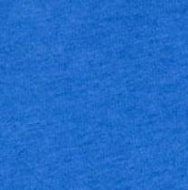 Florida Heathered Spencer T-Shirt - 2025 Men's College Basketball Champions Logo Male Product Image