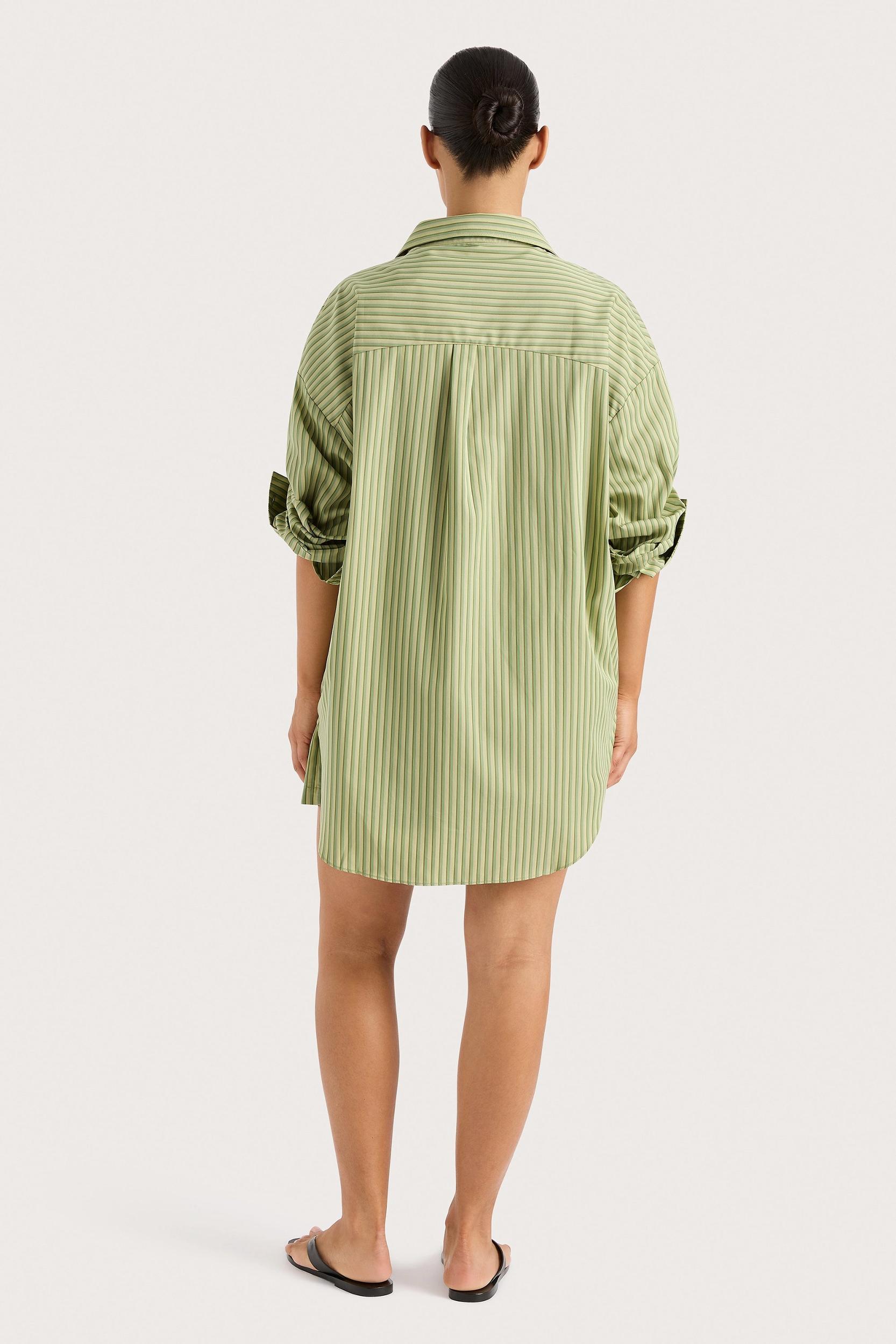 Freja Shorts Green Stripe Product Image