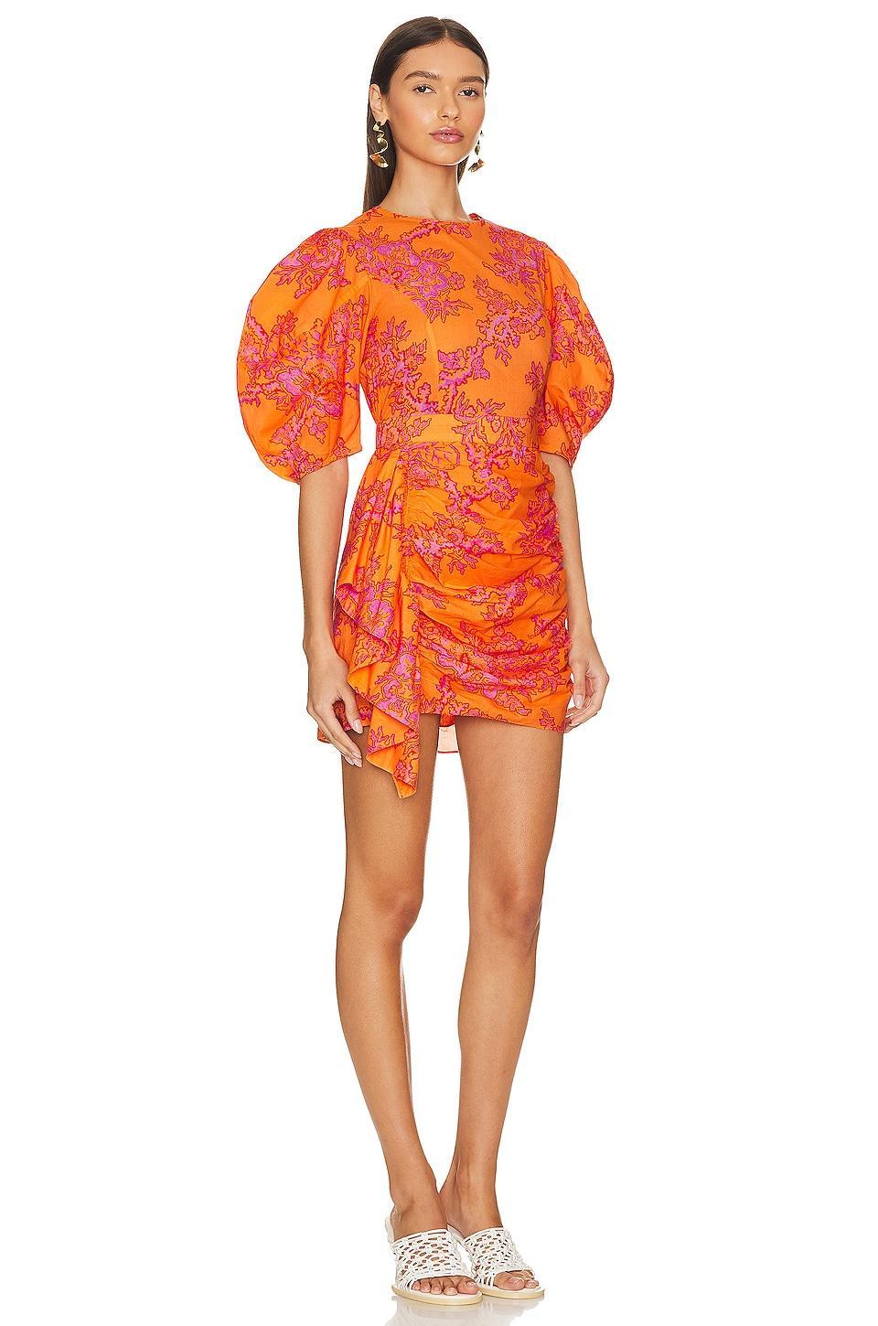 Pia Dress Rhode Product Image