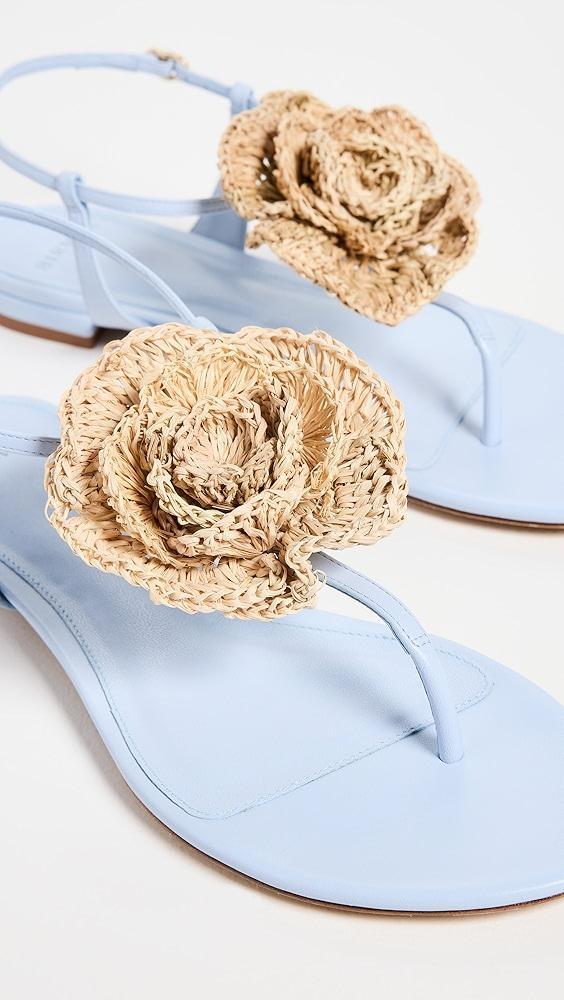 Alexandre Birman Sadie Flower Flats | Shopbop Product Image