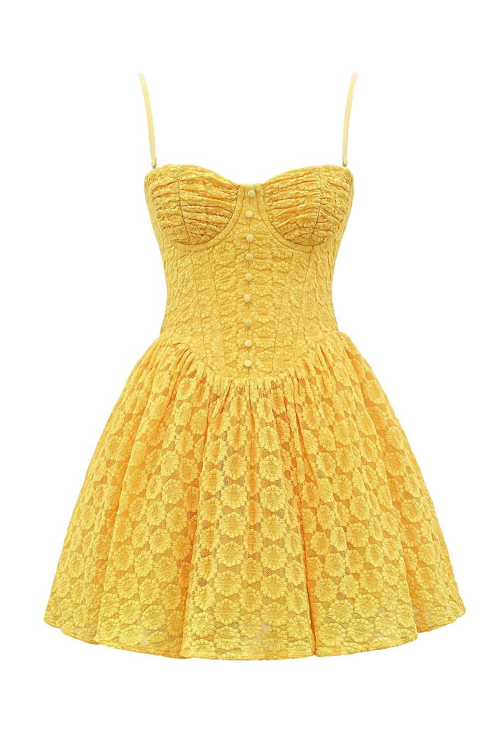 Carolina Apricot Lace Corset Mini Dress Product Image