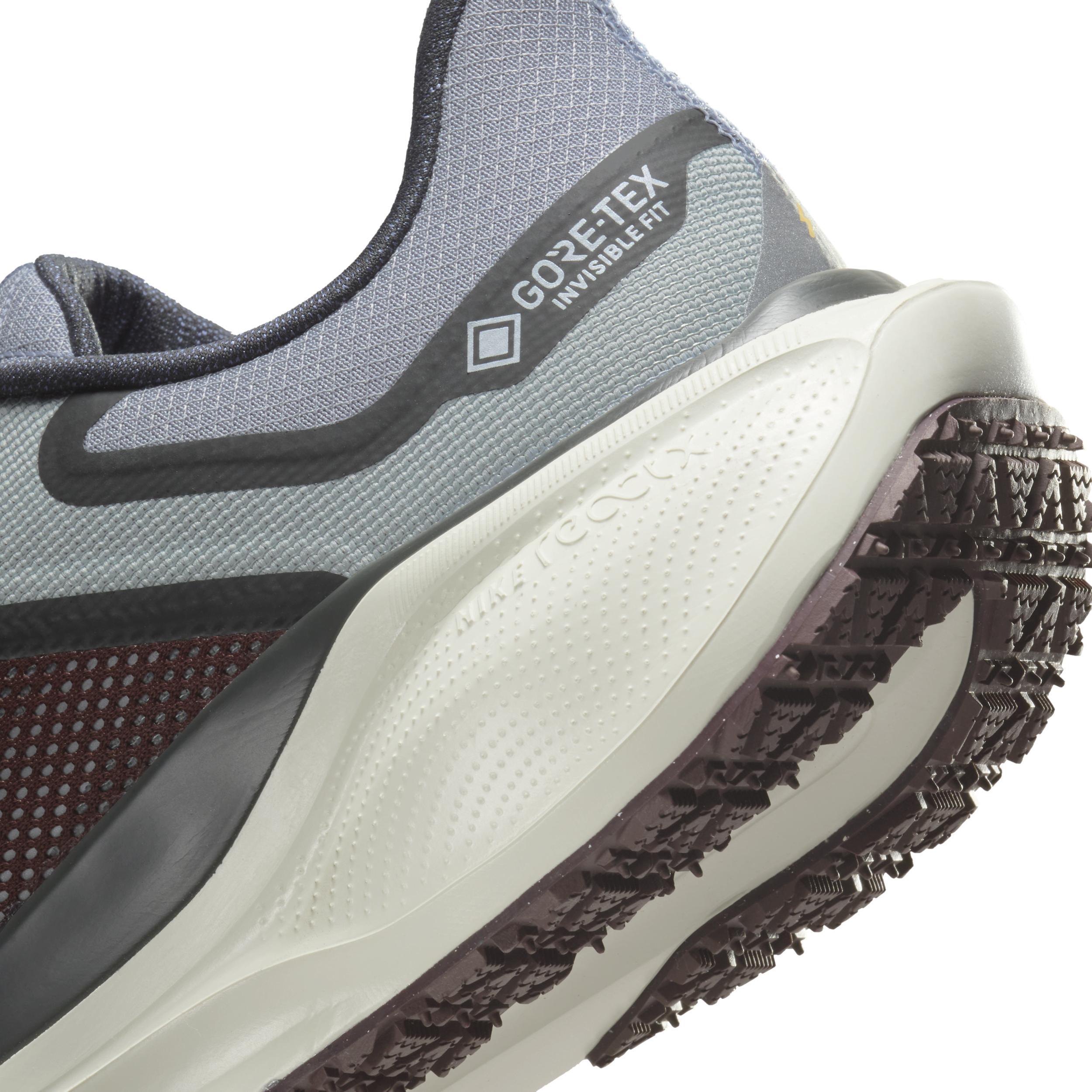 Nike Men's Pegasus 41 GORE-TEX Waterproof Road Running Shoes Product Image