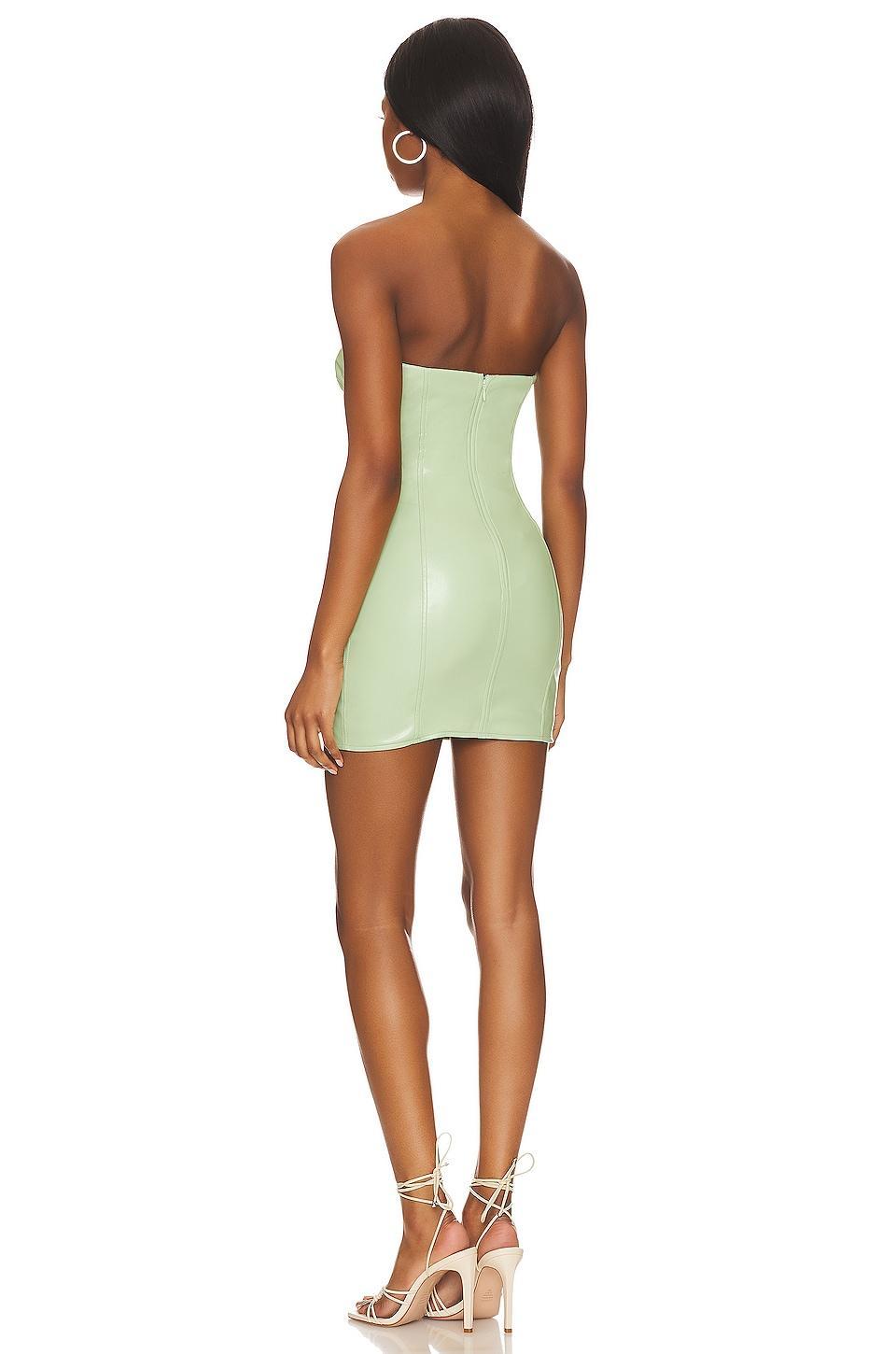 Sage Mini Dress Camila Coelho Product Image