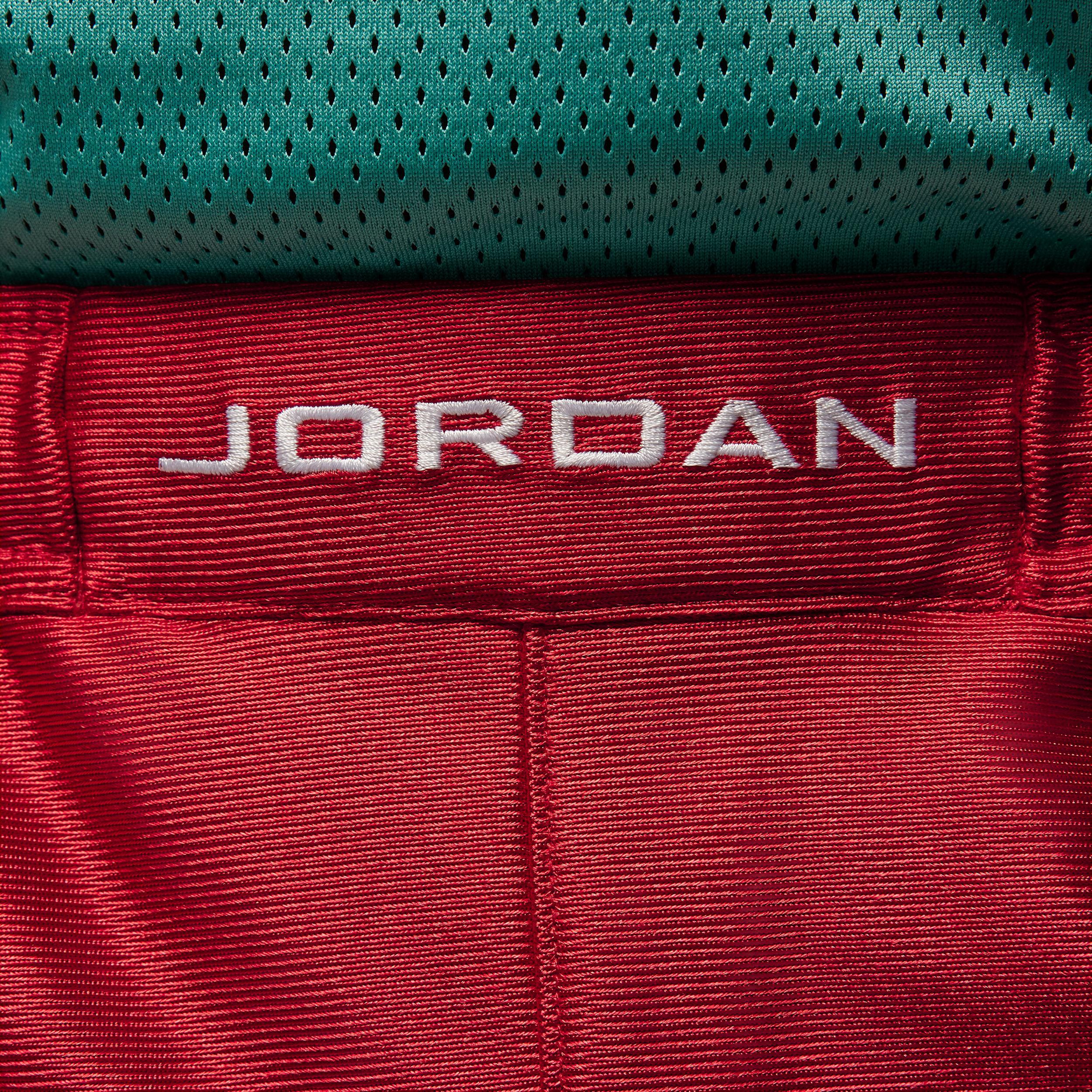 Jordan Brooklyn Cat Scratch Men's Shorts Product Image