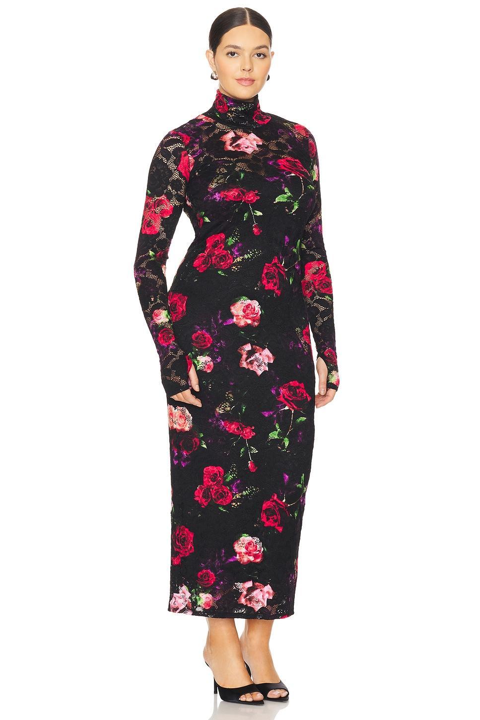 Shailene Lace Dress AFRM Product Image