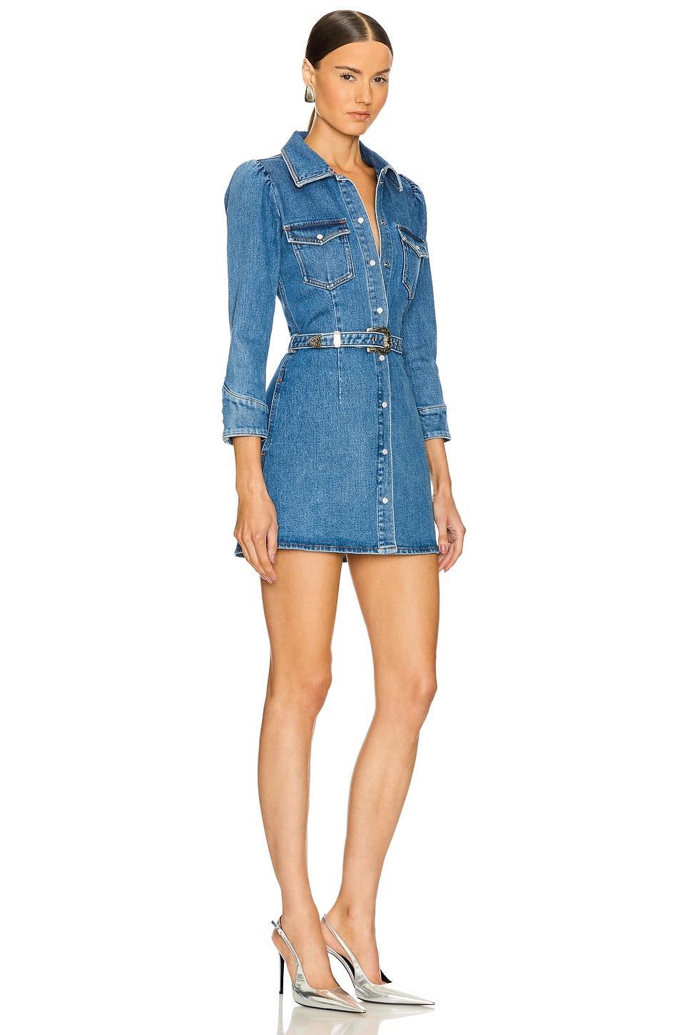Wiley Dress Product Image