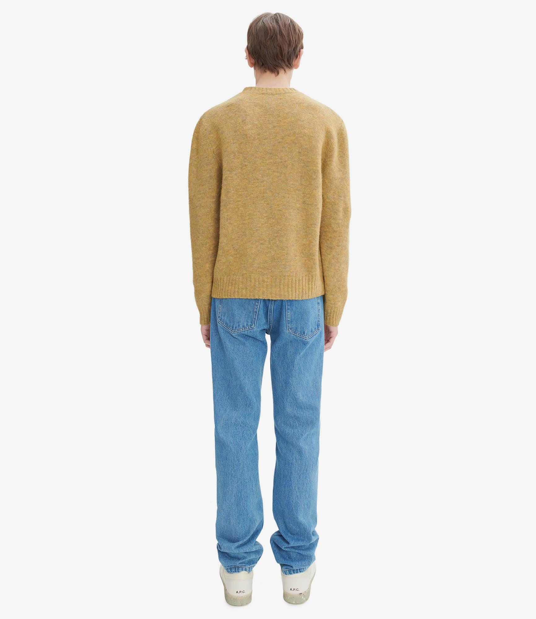 Lucas sweater Male Product Image