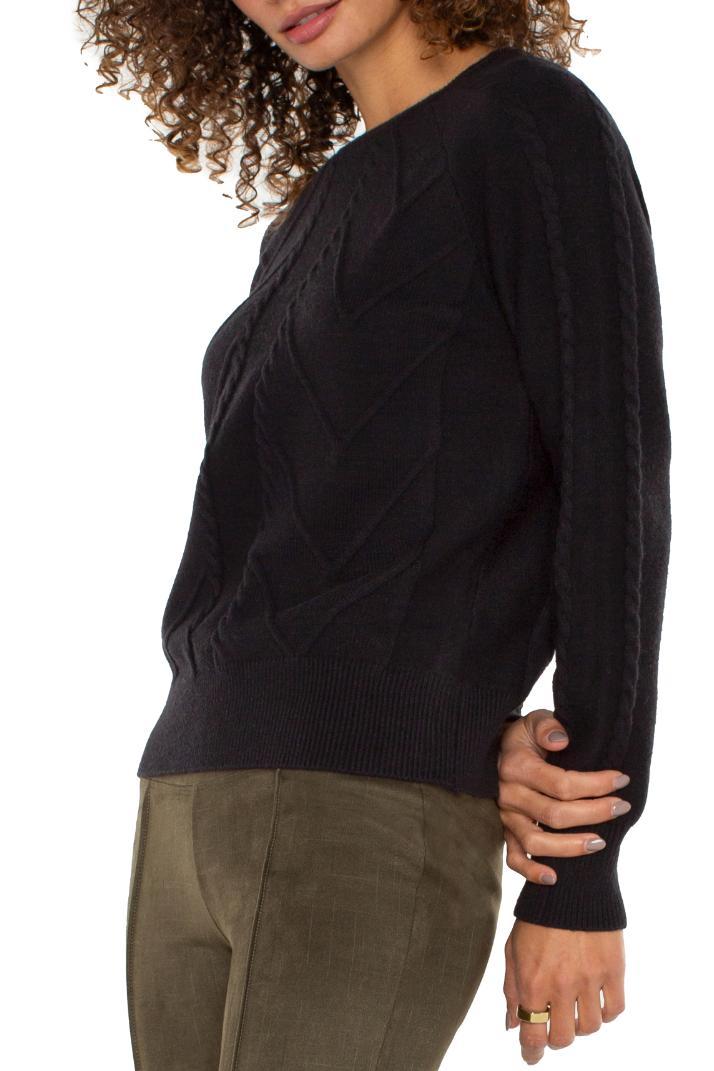 Long Sleeve Crew Neck Raglan Sweater Product Image