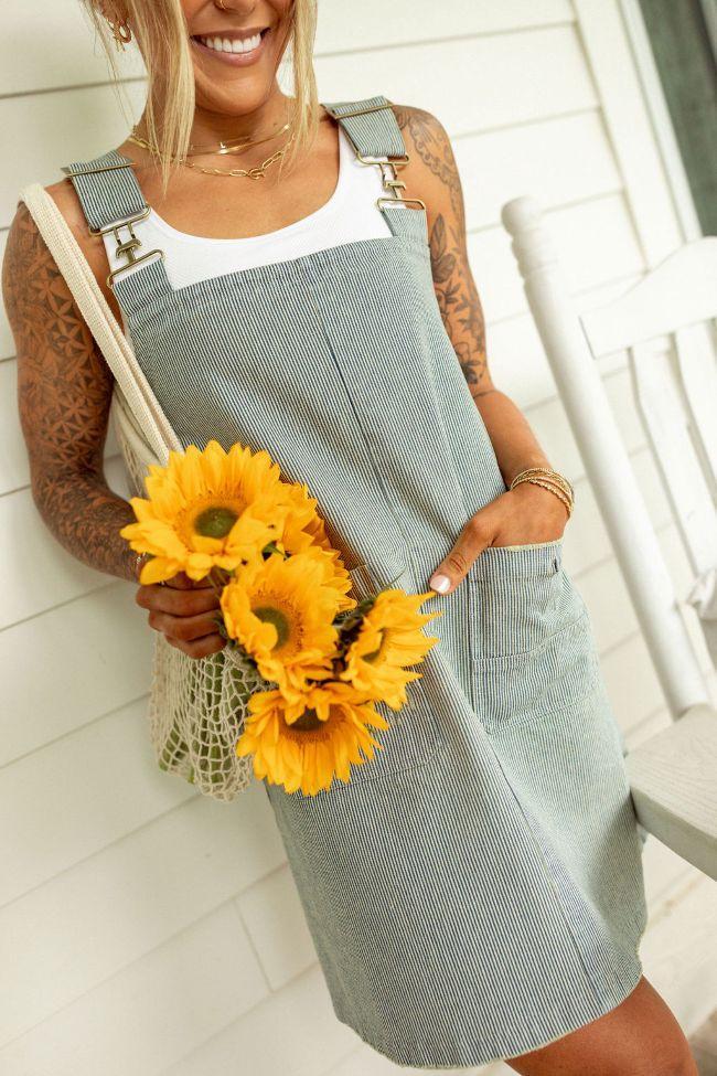 The Shelley Striped Overall Dress Holley Gabrielle X Pink Lily Product Image
