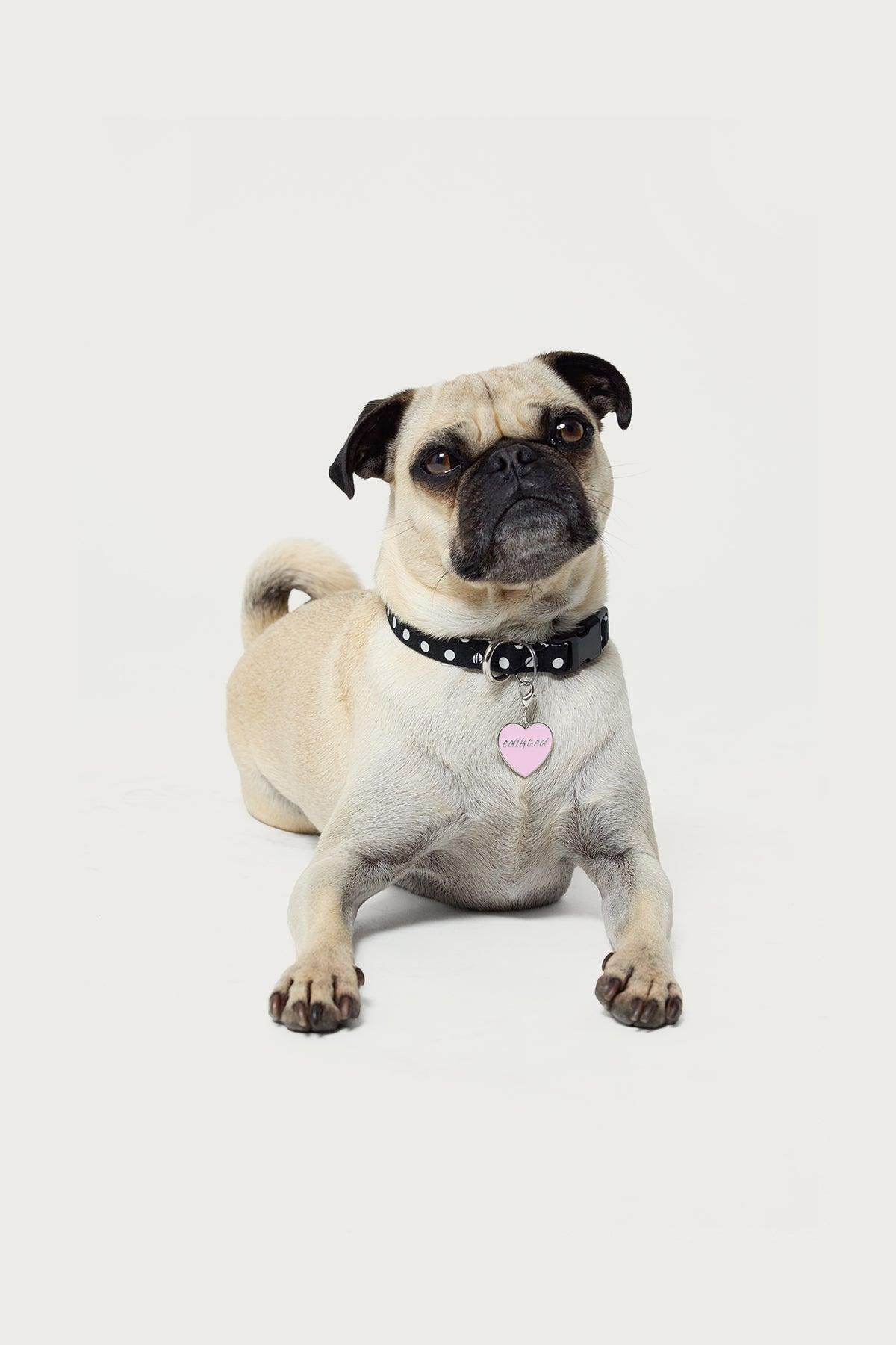 Heart Throb Collar Charm Product Image