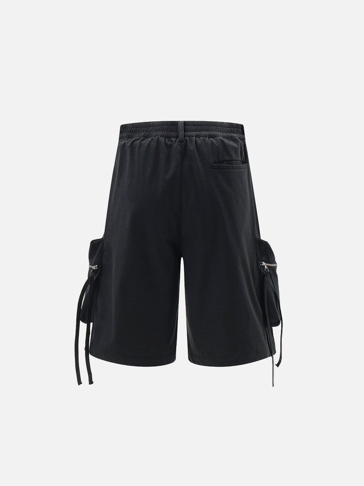 Aelfric Eden Big Pocket Shorts Product Image