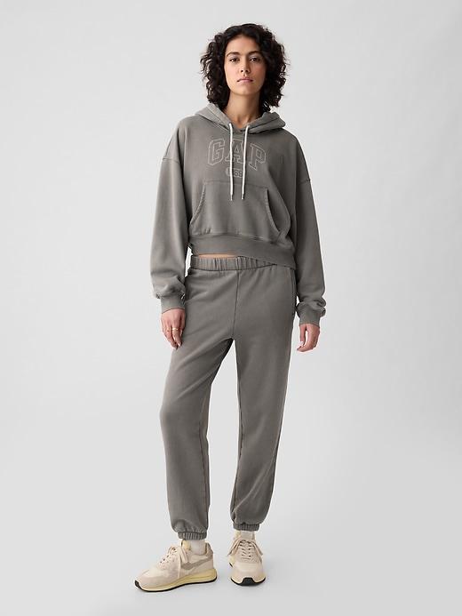 VintageSoft Cropped Hoodie Product Image