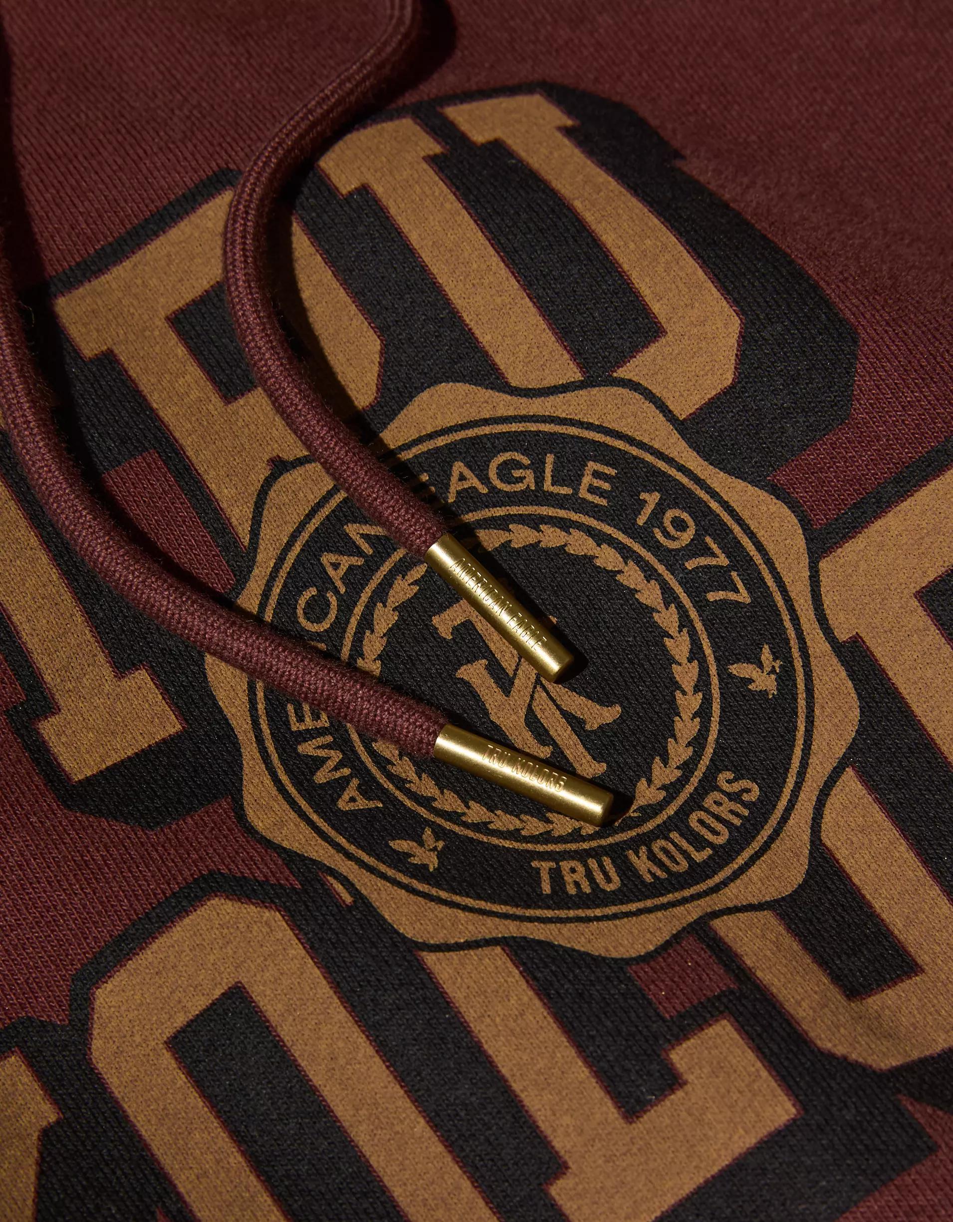 AE x Tru Kolors Heavyweight Graphic Hoodie Product Image