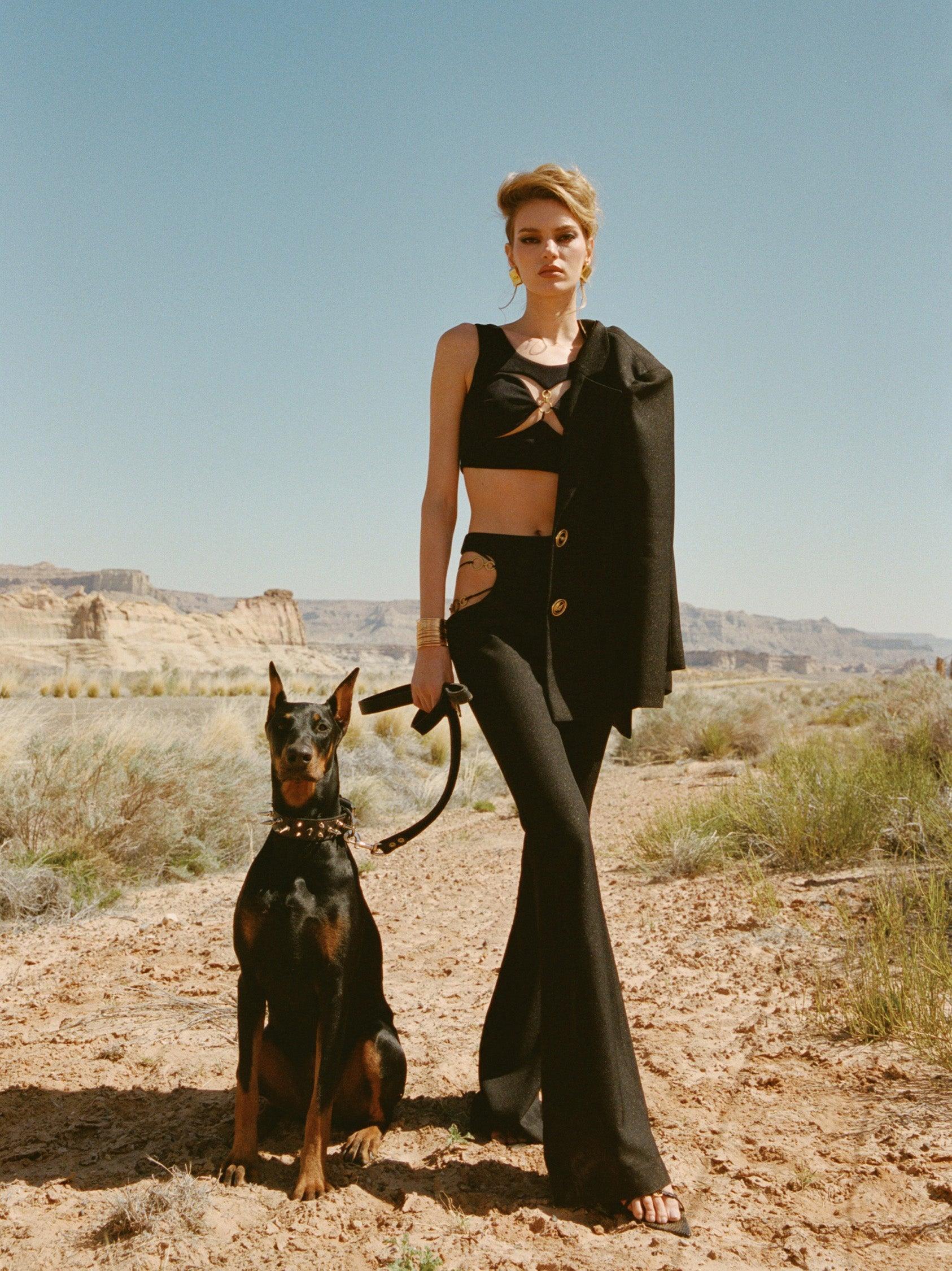 Sahara Flared Pants (Final Sale) Product Image
