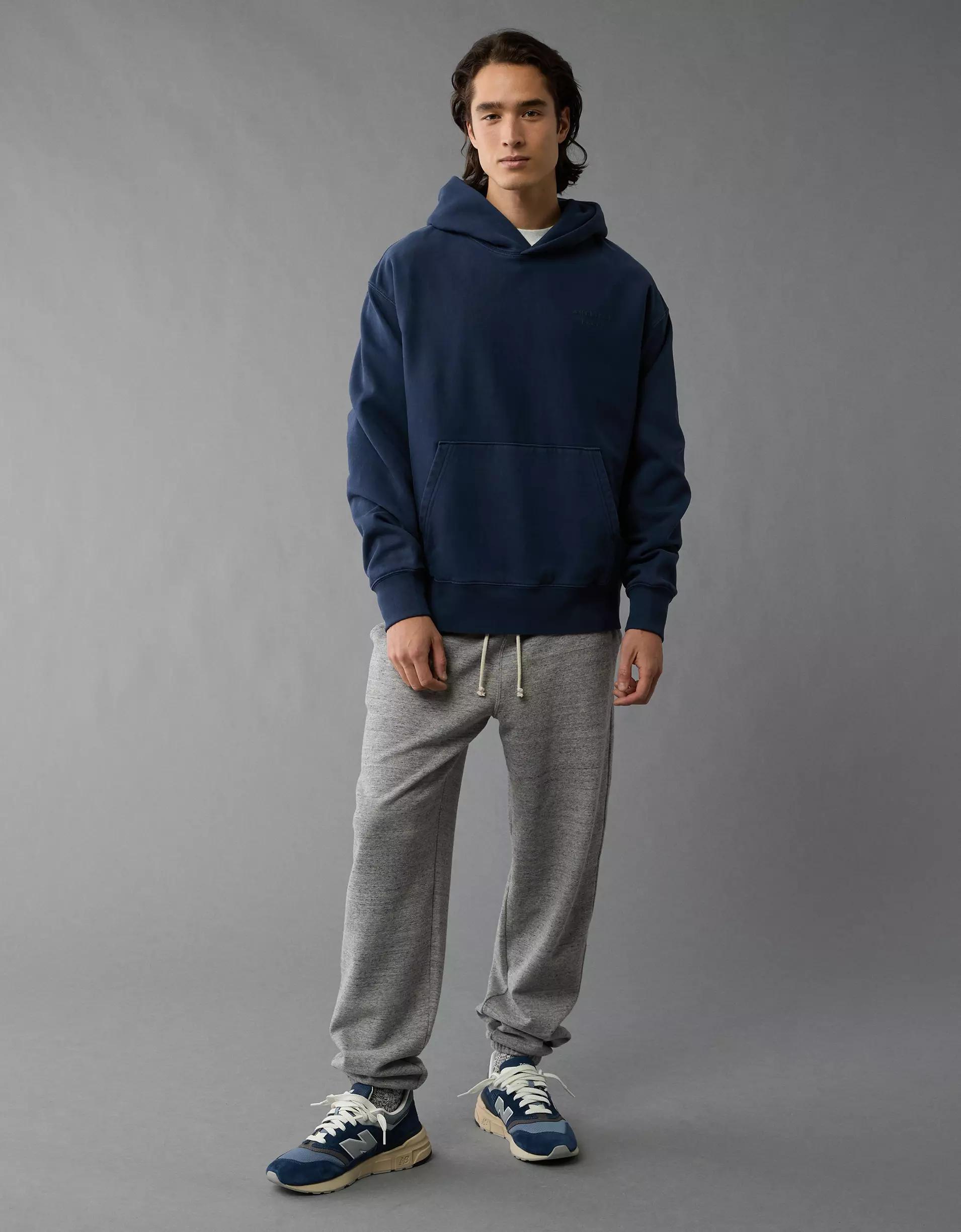 AE Laidback Luxe Heavyweight Logo Hoodie Product Image