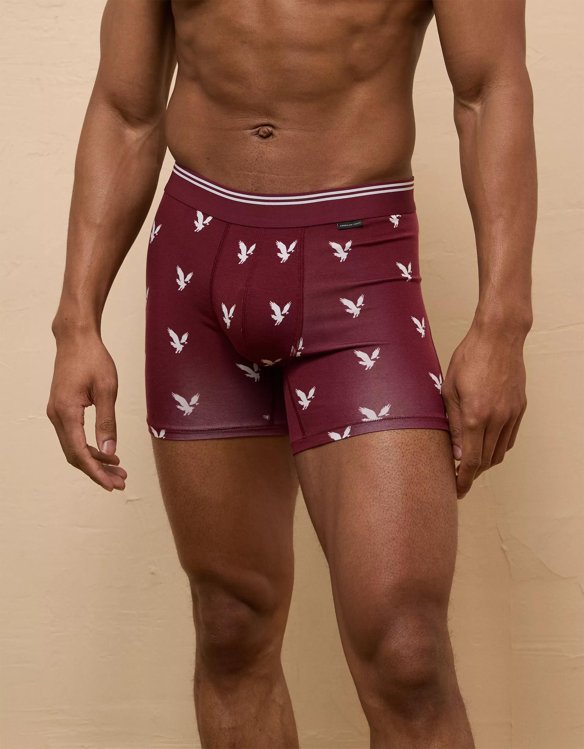 AEO Men's Eagles 4.5" Ultra Soft Boxer Brief Product Image