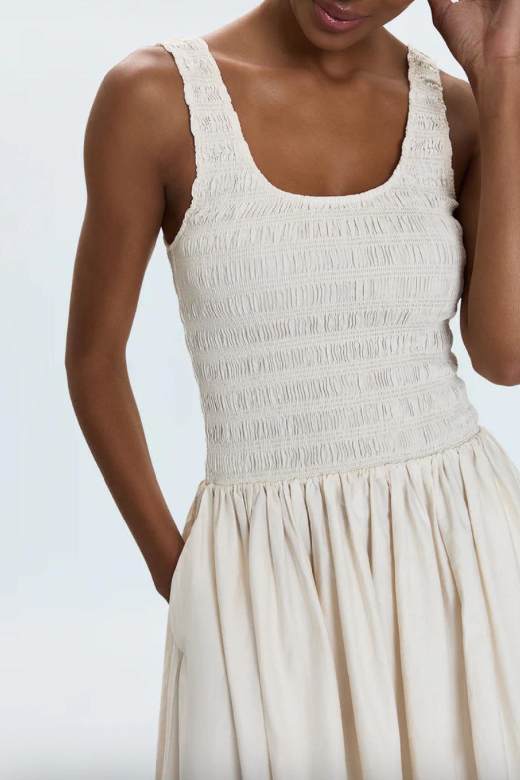 Alessia Smocked Drop Waist Dress Product Image