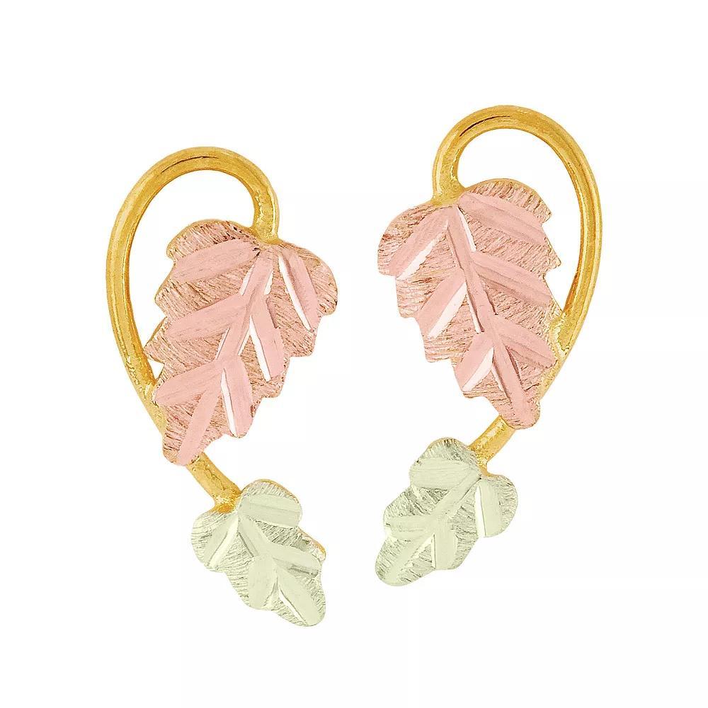 Black Hills Gold Tri-Tone Traditional Post Earrings, Women's, 10k  Tone Product Image