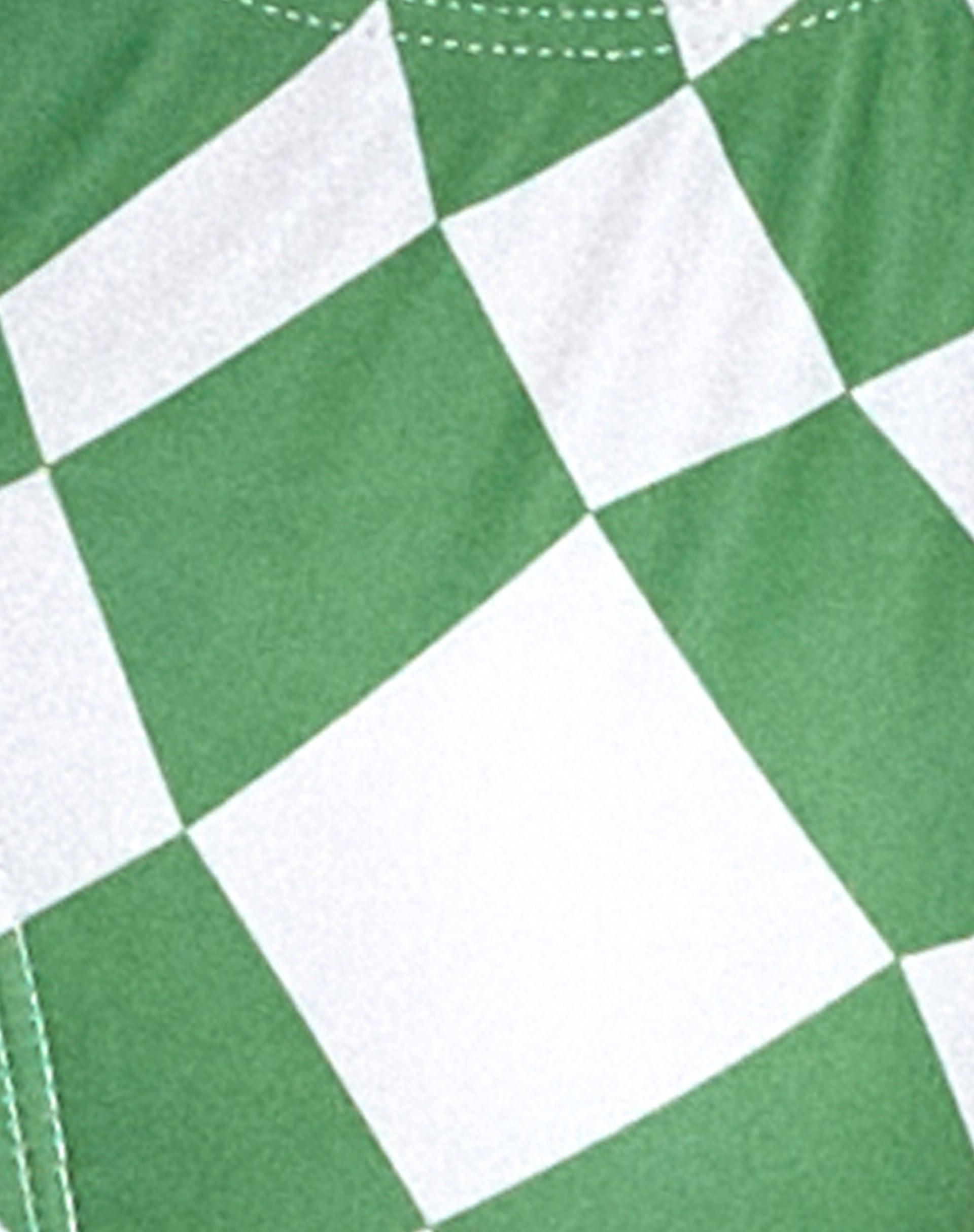Farida Bikini Bottom in Square Flag Green Product Image