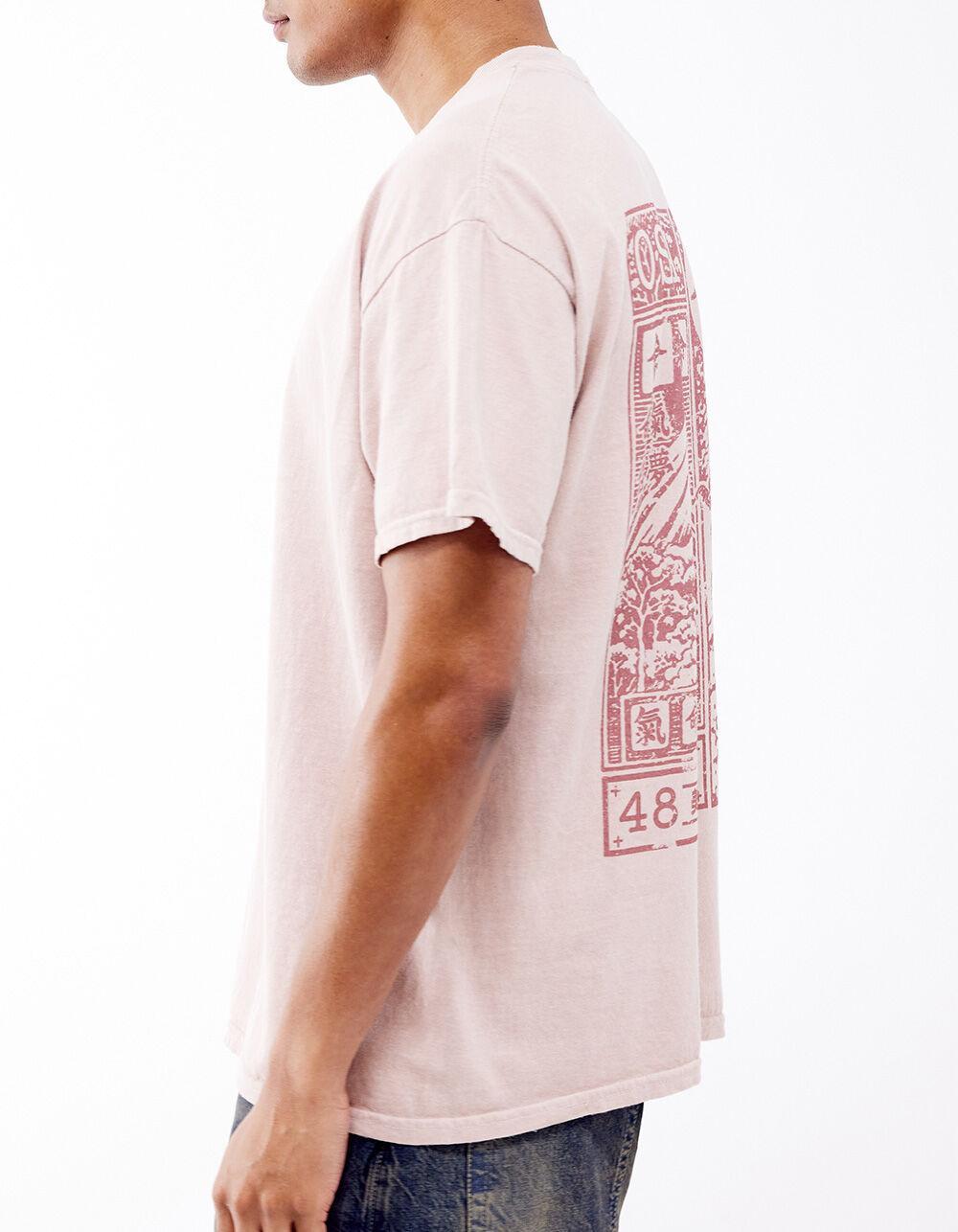BDG Urban Outfitters Osaka Mountain Mens Tee - PINK Product Image